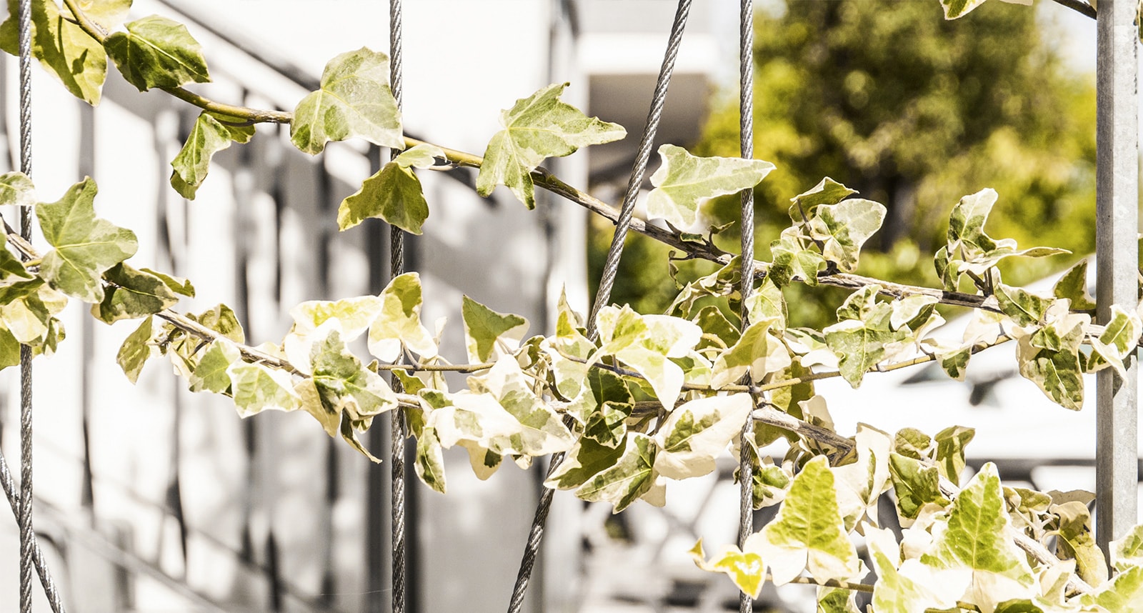 casa-giardino-via-berzuini-34-details